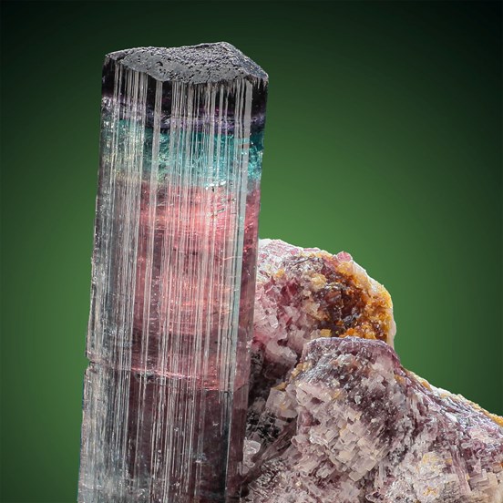 Elbaite-Pederneira Mine | São José da Safira | Minas Gerais | Brazil